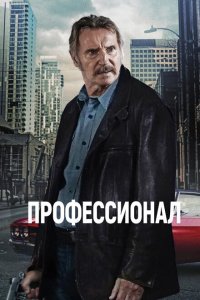  Профессионал 